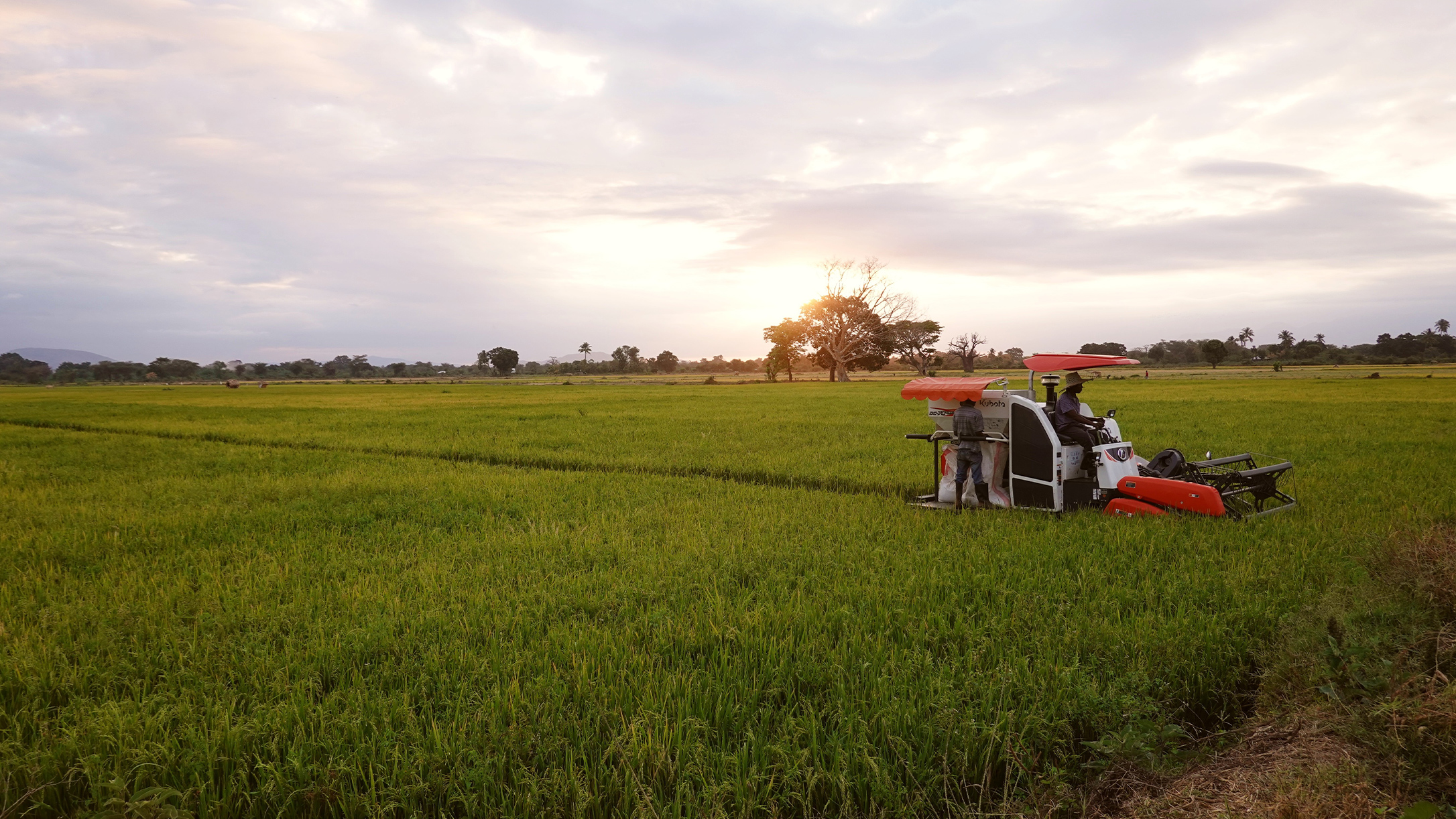 Adhoc export and agriculture