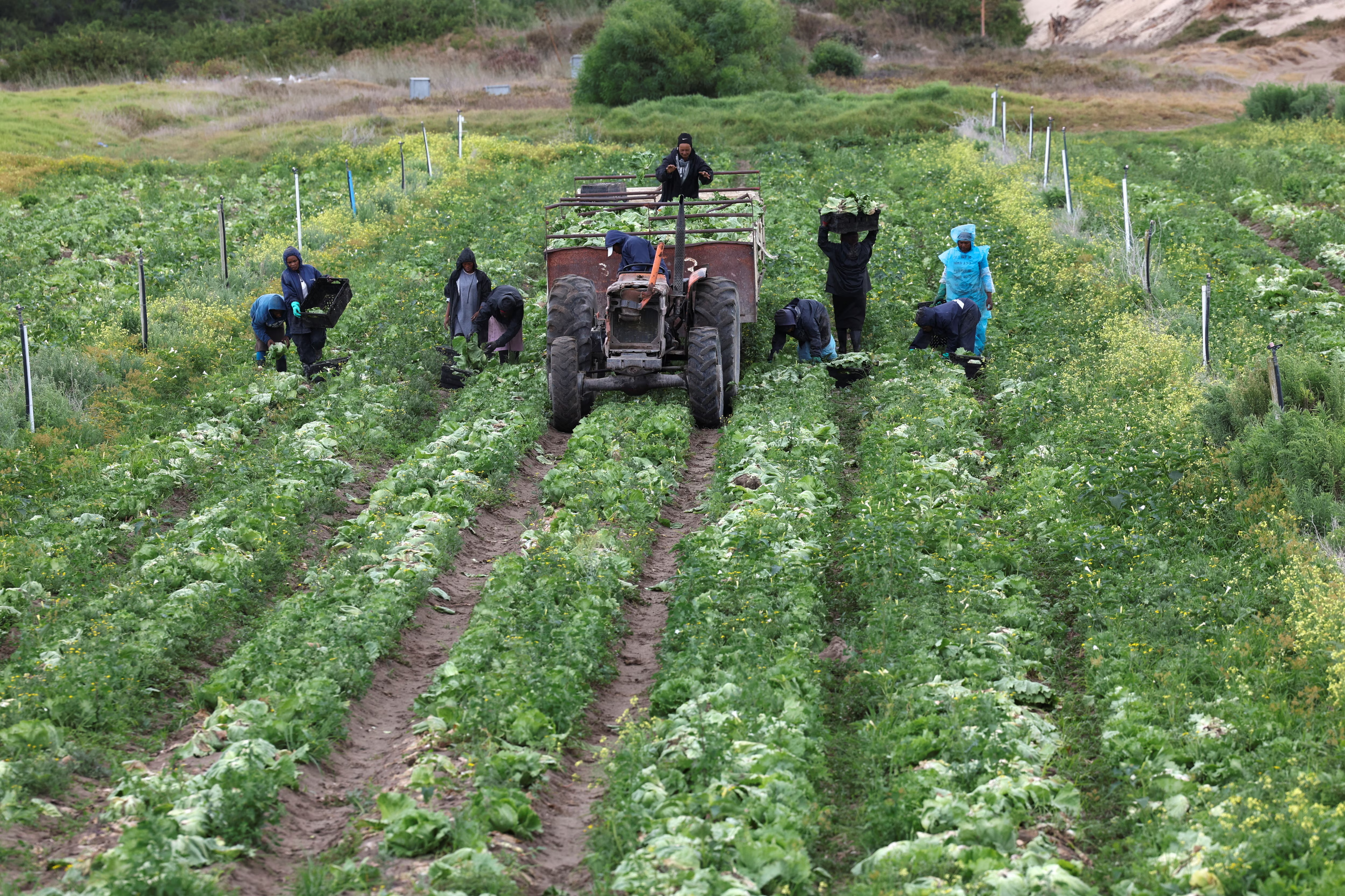 Adhoc supply chain and quality